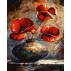 Tapyba pagal skaičius Raudonos aguonos vazoje 40x50 cm