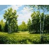 Tapyba pagal skaičius Saulėtas Beržynas 40x50 cm