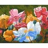 Tapyba pagal skaičius Spalvingos Gėlės 40x50 cm