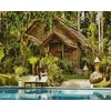 Tapyba pagal skaičius Tropical Retreat 40x50 cm