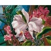 Tapyba pagal skaičius Tropinės orchidėjos 40x50 cm