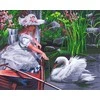 TPS Tapyba pagal skaičius Gulbių ežeras 40x50 cm