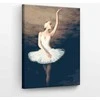 Tapyba pagal skaičius Balerina baltai 40x50 cm