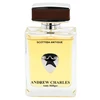 Tommy Hilfiger Andrew Hilfiger Scottish Antique Eau De Toilette 100 ml