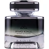Auraa Desire Juodas Onyx PP kvepalai vyrams, 100 ml