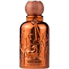 Auraa Desire Rusty Island PP kvepalai vyrams, 100 ml
