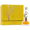 Aurora Scents Deciduous Autumn - EDP 100 ml + EDP 8 ml