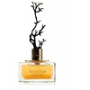 Aurora Scents Deciduous Autumn - EDP 100 ml + EDP 8 ml