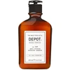 Depot 100 Hair Cleansing No. 109 Hair Treatment šampūnas, 250 ml
