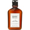 Depot 100 Hair Cleansing No. 109 Hair Treatment šampūnas, 250 ml