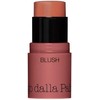 Diego Dalla Palma All In One Blush Stick 42 Salmon, 4 g