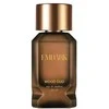 Embark Wood Oud EDP parfumuotas vanduo unisex, 100 ml