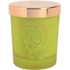 Etro Dafne Scented Candle kvapioji žvakė, 170 g