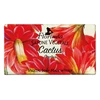 Florinda, Cactus, Vegan, Cleansing & Hydrating, Scented Soap Bar , 100 g