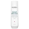 Goldwell Dualsenses Scalp Specialist Deep Cleansing Giliai valantis šampūnas, 250 ml
