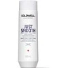 Goldwell Dualsenses Just Smooth Šampūnas šampūnas nepaklusniems plaukams, 250 ml