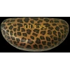 Guess, Vikky, Glasses Case, Leopard