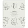 Set Duo, Joliderm, Joliderm, Sviestmedžių aliejumi And Coconut Oil, Hydrating - Softening, Hand Sheet Mask, 2 pcs, 2