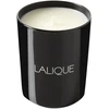 Lalique Figuier Amalfi Italie Scented Candle, 600 g