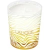 Lalique Le Soleil Chiang Mai Tailando kvapioji žvakė, 190 g