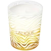 Lalique Le Soleil Chiang Mai Tailando kvapioji žvakė, 190 g