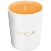 Lalique Les Compositions Parfumees - Saldžiojo ambra kvapioji žvakė, 190 g