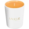 Lalique Les Compositions Parfumees - Saldžiojo ambra kvapioji žvakė, 190 g