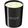 Lalique Osmanthus Himalaya Nepal Osmanthus kvapioji žvakė, 190 g