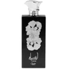 Lattafa Ansaam Sidabrinis EDP parfumuotas vanduo, 100 ml