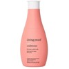 Garbanos kondicionierius, 355 ml Living Proof