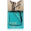 Maison Asrar Wadi EDP parfumuotas vanduo unisex, 100 ml