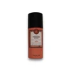 Maria Nila Styling Style &amp; Finish (Finishing Purškiklis), 100 ml