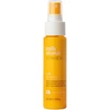 Milk Shake Incredible Milk Hair Milk Treatment For maitininantis, 55 ml