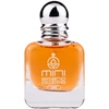 MiniBrand 299 EDP parfumuotas vanduo vyrams, 25 ml