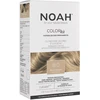 Noah , Permanent Hair Colour, Permanent Hair Dye, 8.0 Light Skirtas šviesiems plaukams, 140 ml For Women
