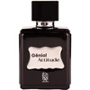 Nylaa Genial Attitude EDP parfumuotas vanduo vyrams, 100 ml