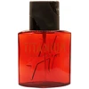 Daniel Hechter Titanium EDT tualetinis vanduo vyrams, 75 ml