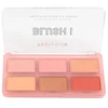 Profusion Cosmetics Blush I Blush Palette, 16 g