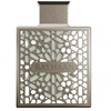 Rayhaan Terra EDP parfumuotas vanduo vyrams, 100 ml