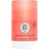 Roger & Gallet Fig Flower Dezodorantas Stick 24H pieštukinis dezodorantas, 50 g
