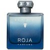 Roja Parfums Elysium Eau Intense EDP parfumuotas vanduo vyrams, 100 ml