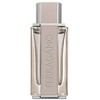 Salvatore Ferragamo Salvatore Ferragamo, šviesi oda, tualetinis vanduo, vyrams, 100 ml *Testeris vyrams