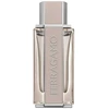Salvatore Ferragamo, Bright Leather, Eau De Toilette, For Men, 100 ml