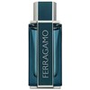 Salvatore Ferragamo Salvatore Ferragamo, Intense Leather, Eau De Parfum, For Men, 100 ml *Tester For Men