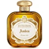 Santa Maria Novella Ambra EDP parfumuotas vanduo unisex, 100 ml