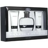 Rinkinys „Ford“: „Mustang Baltas“ tualetinis vanduo vyrams, 100 ml + „Mustang Baltas“ balzamas po skutimosi, 100 ml + „Mustang Baltas“ kūno prausiklis plaukams ir kūnui, 100 ml