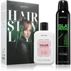 Kemon Hair Style Set, 250 ml +, 250 ml