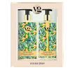 Rinkinys „Vivian Gray“: putojančio apelsino kvapo drėkinamasis rankų losjonas, 350 ml + putojančio apelsino kvapo valomasis skystas muilas, 350 ml