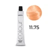 Subrina Professional, Highlift Colour, Permanent Hair Dye, 11/75 Skirtas šviesiems plaukams Special Chestnut Raudona, 100 ml