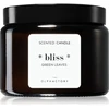 The Olphactory Bliss Žalias Leaves Žalias Leaves Scented Candle, 360 g